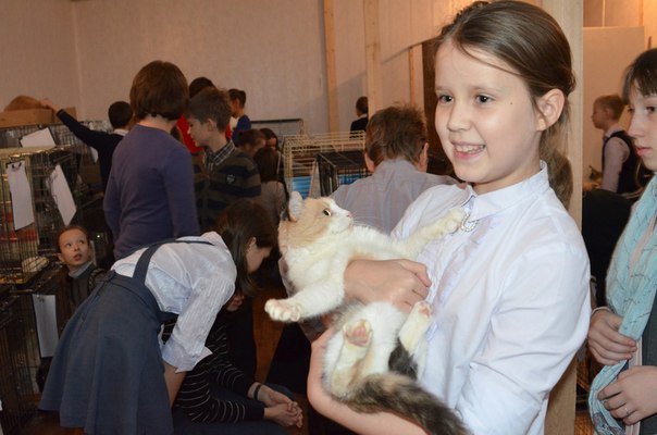 Ярославские школьники пришли в гости к питомцам «ЯрКота»